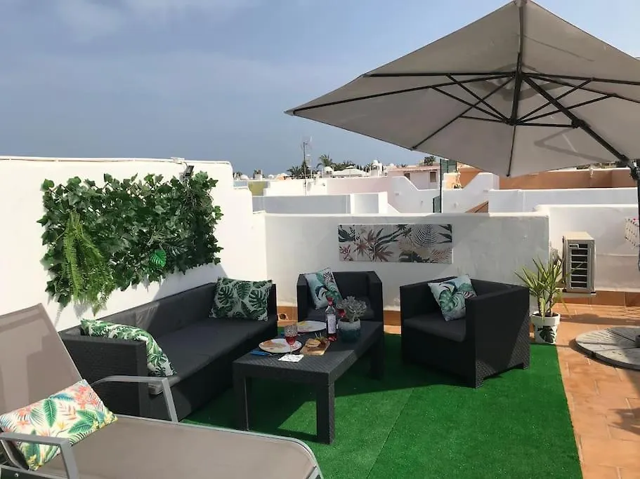 Apartment With Sunny Private Rooftop Terrace Vera